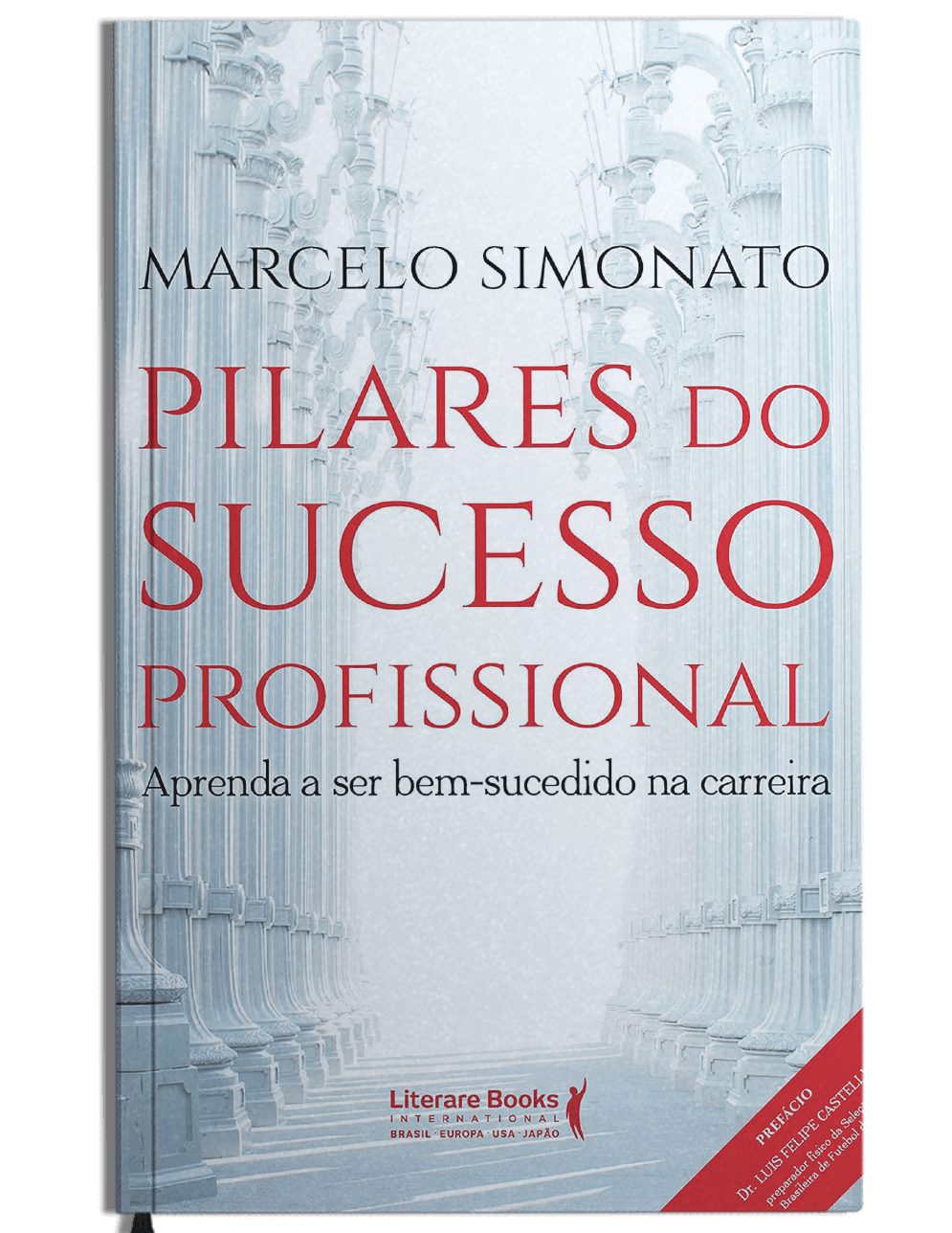 Livro - Pilares do Sucesso Profissional
