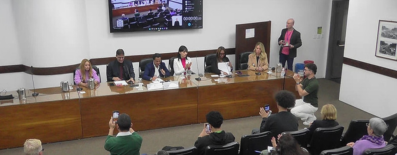 Com depoimentos de vítimas, Audiência Pública debate violência contra a mulher