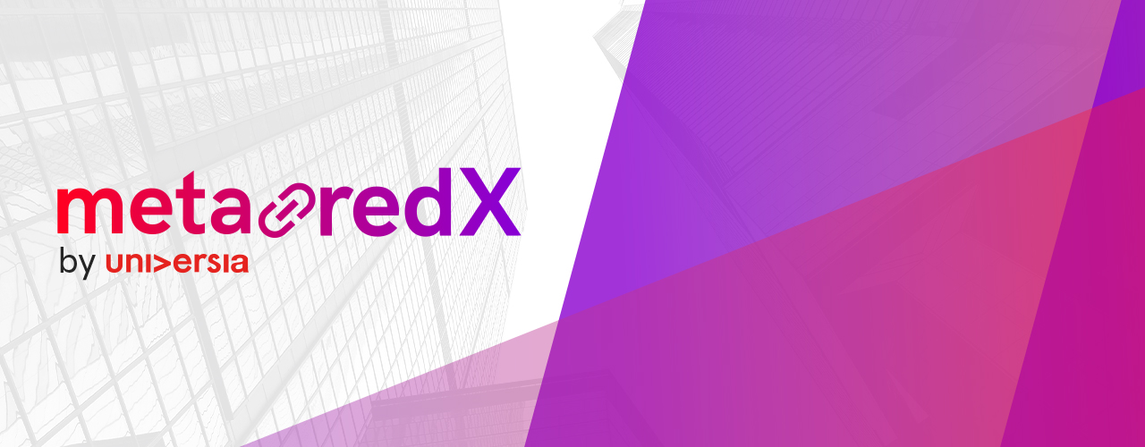 MetaRed X Brasil é lançada oficialmente para atuar no fomento ao empreendedorismo universitário